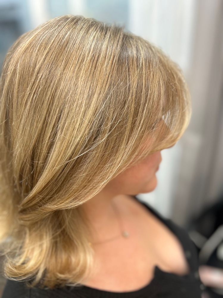 Partial Highlight & Haircut