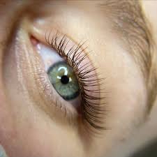 Brown Classic Eyelash Fill