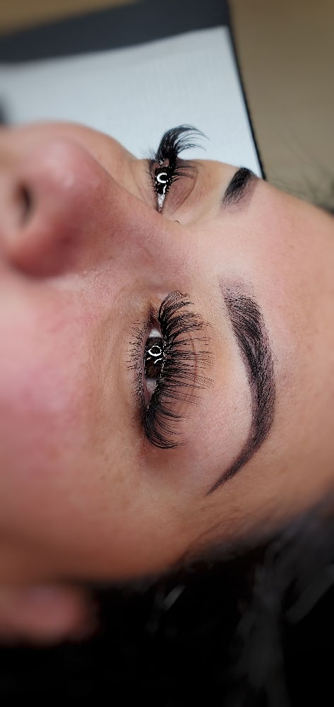 Full Set Wet Lash Extensions
