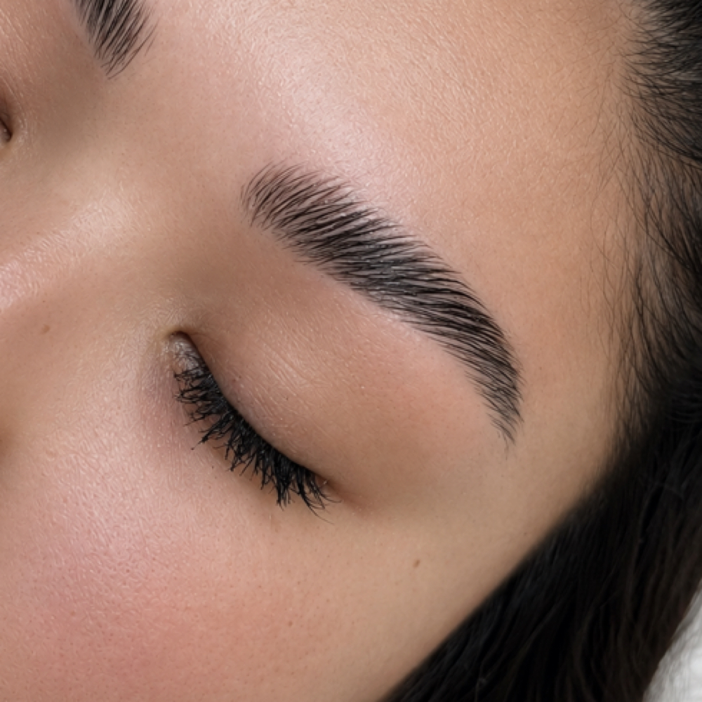 Brow Tint + Wax at Rose Gold Lash in Centerline, MI