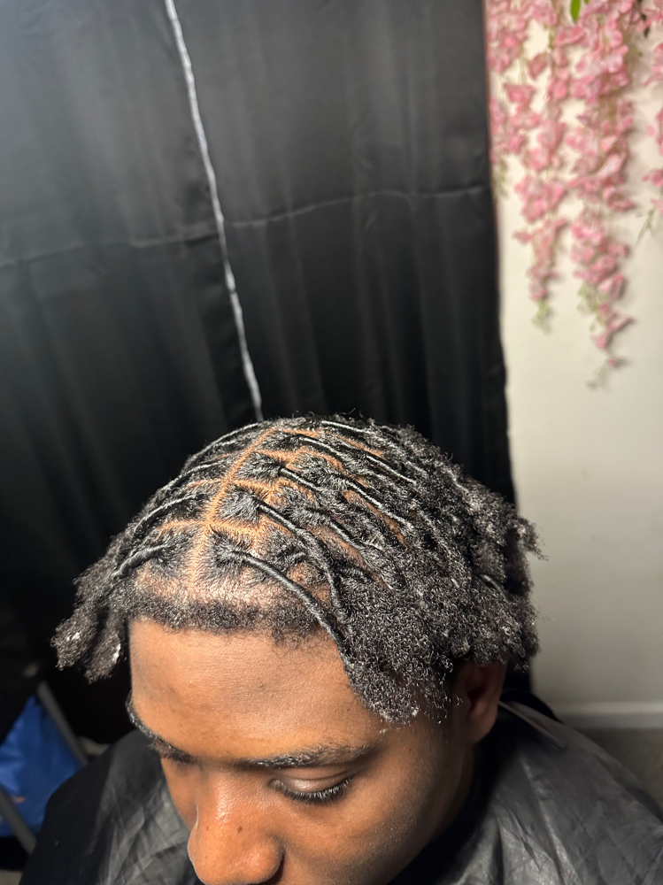 Starter Locs