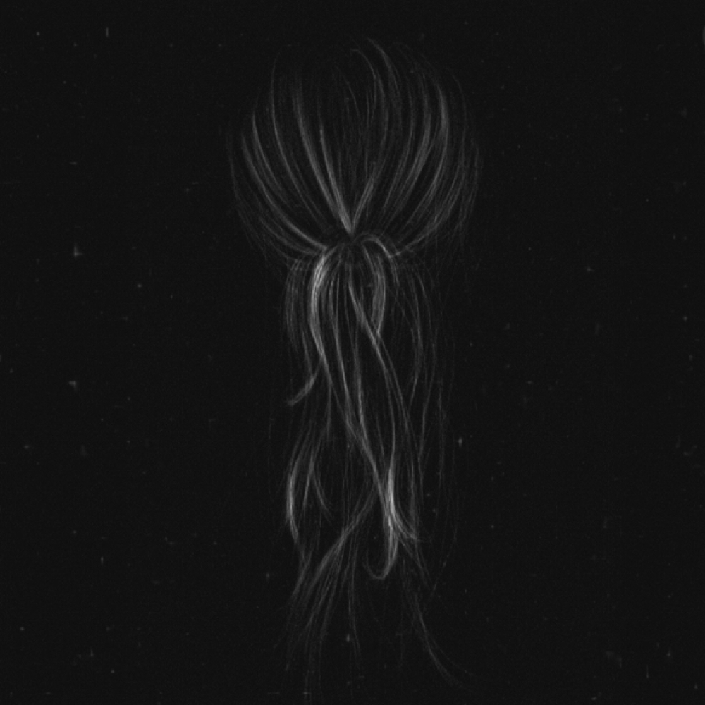 Extensions - Consultation at Coastal House of Hair in Merritt Island, FL