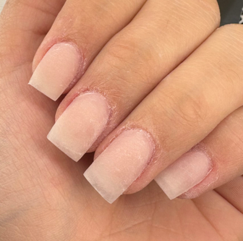 Acrylic Short at Lash & Claw in Evansville, IN