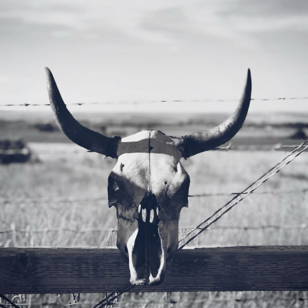 Mini Lite at Salon Idyll in Rochelle, IL