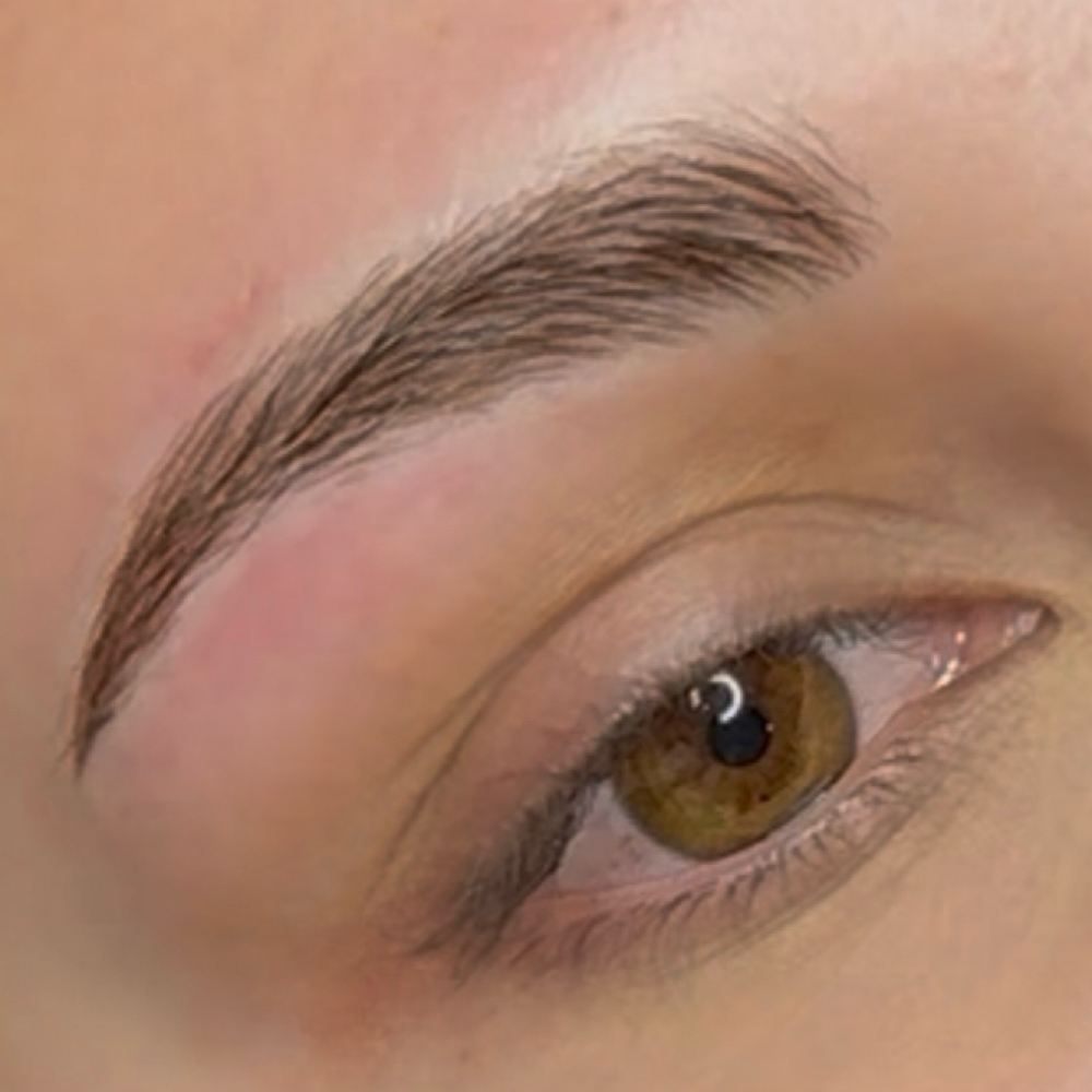 Nano Brows at Birdhouse Cosmetic Tattooing in Fairbanks, AK