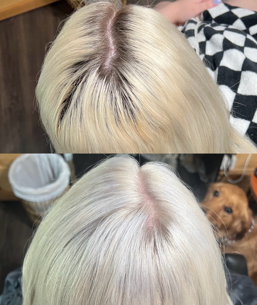 6-12 week On Scalp TouchUp