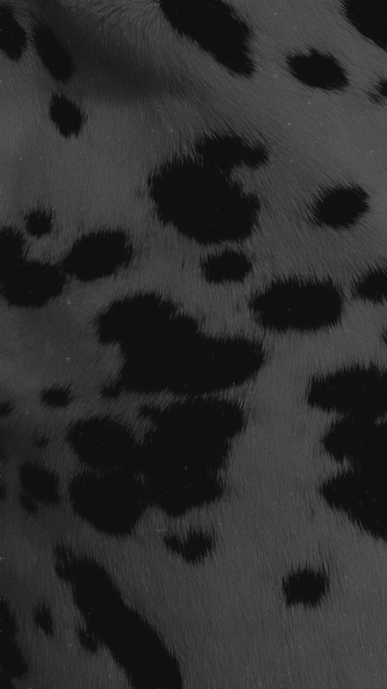 Faux Freckles at TINY TATS in Naples, FL