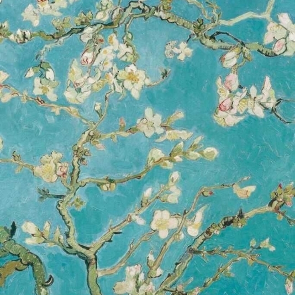 All Over Basic Color