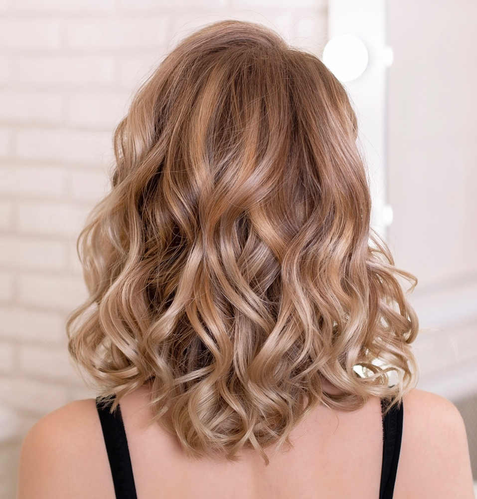 Highlights