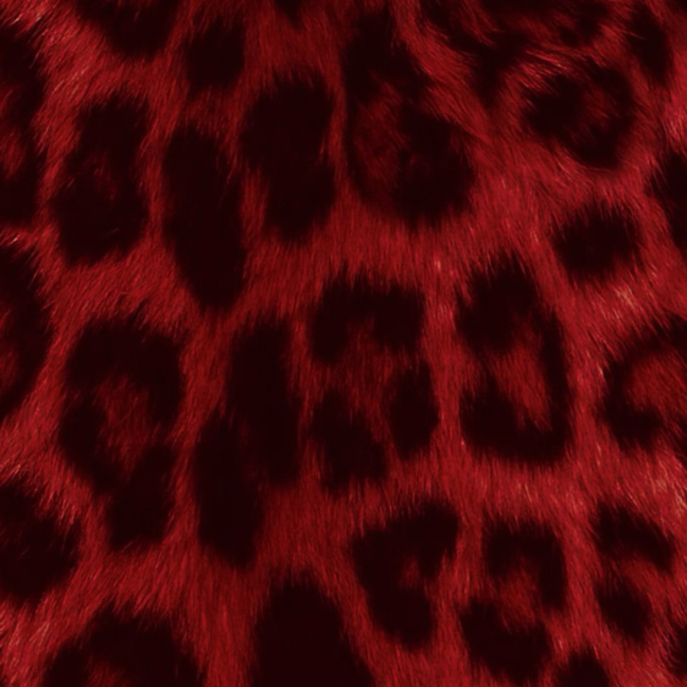 Vivids Color + Haircut + Blowout at VLVT HAIR STUDIO in Santa Ana, CA