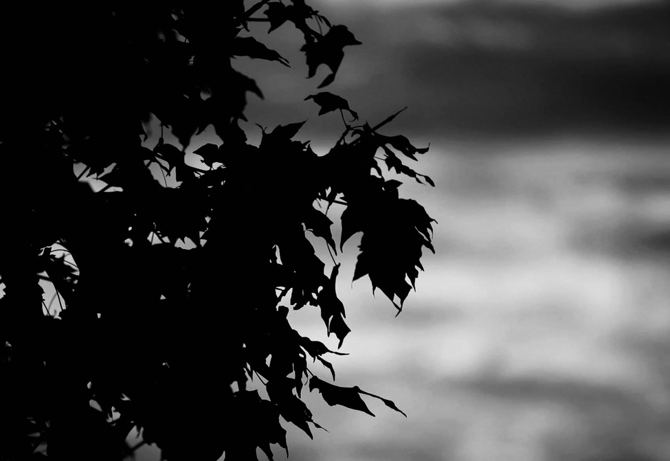 Luxury Mask/Treatment