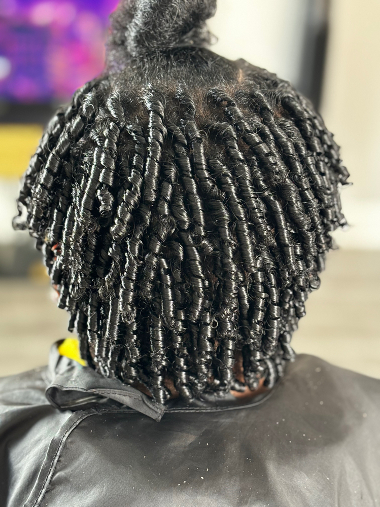 Medium Lenght Starter Locs