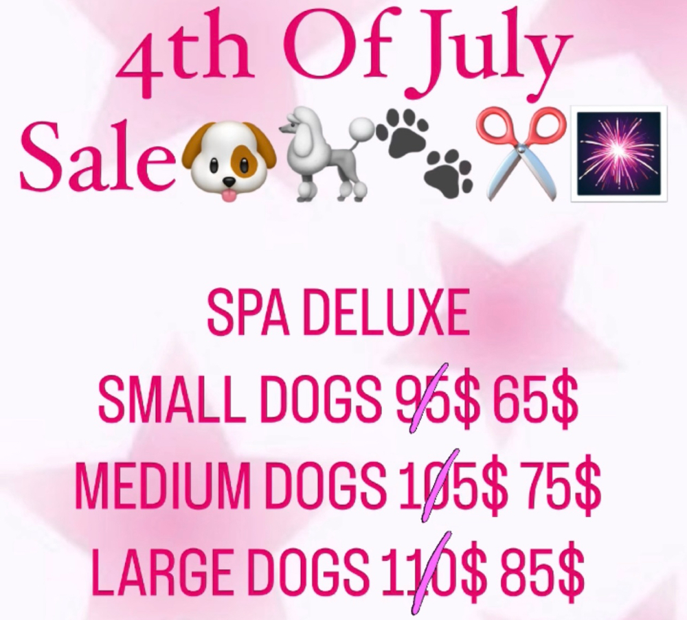4th Of July Sale🎆