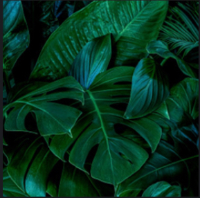 Test Patch