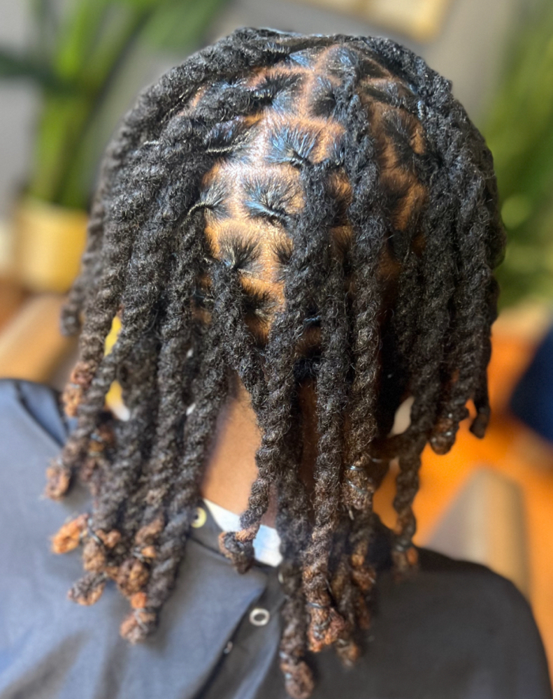 Two Strand Neck (up to 99 locs)