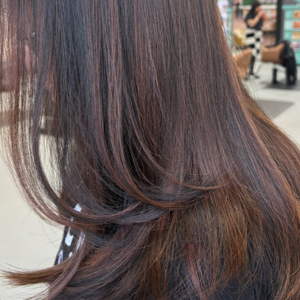 Woman’s Haircut at Hairbynataliegrace in Wyandotte, MI