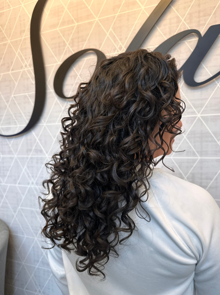 Naturally Curly Wash and Style at She Creates Hair, LLC in Loveland, CO