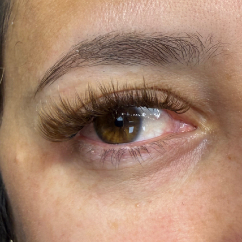 Brown Volume Lash Fill at Banks Beauty Bar in Dallas, TX