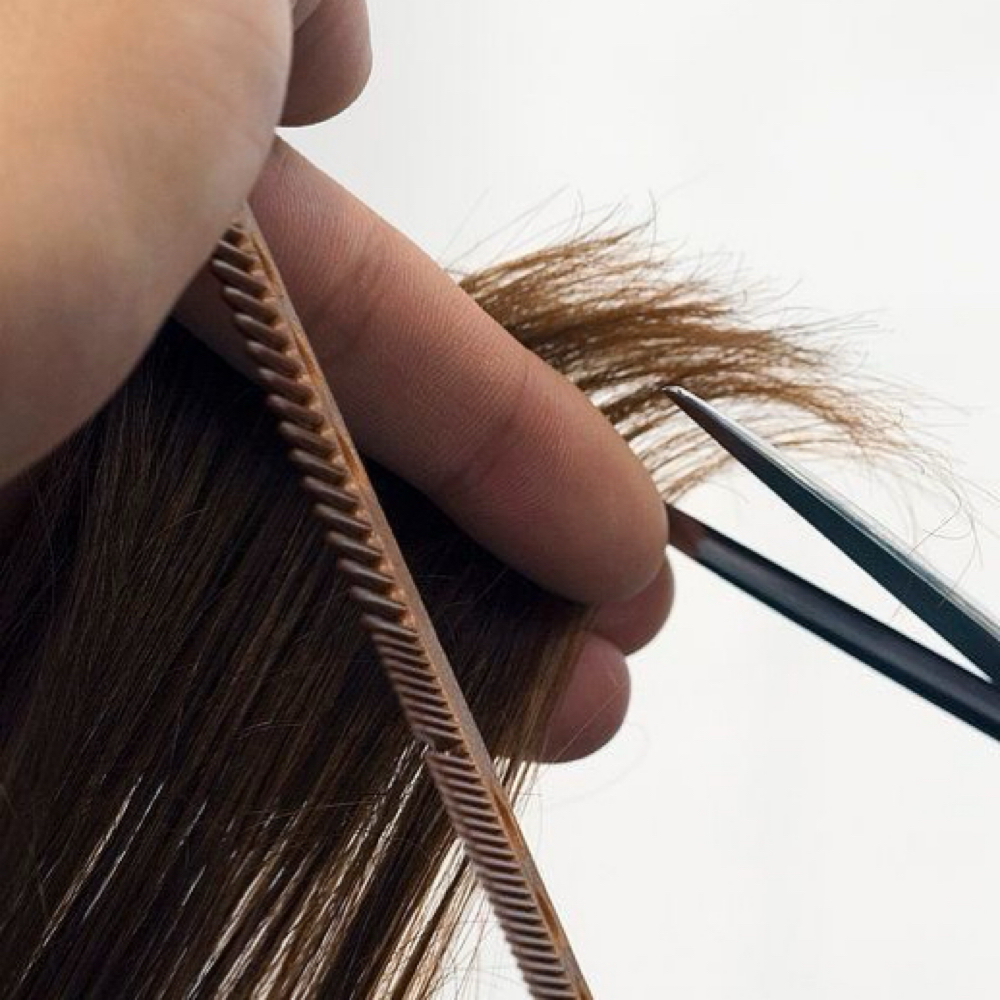 Haircut at Shadow & Shear in San Jose, CA