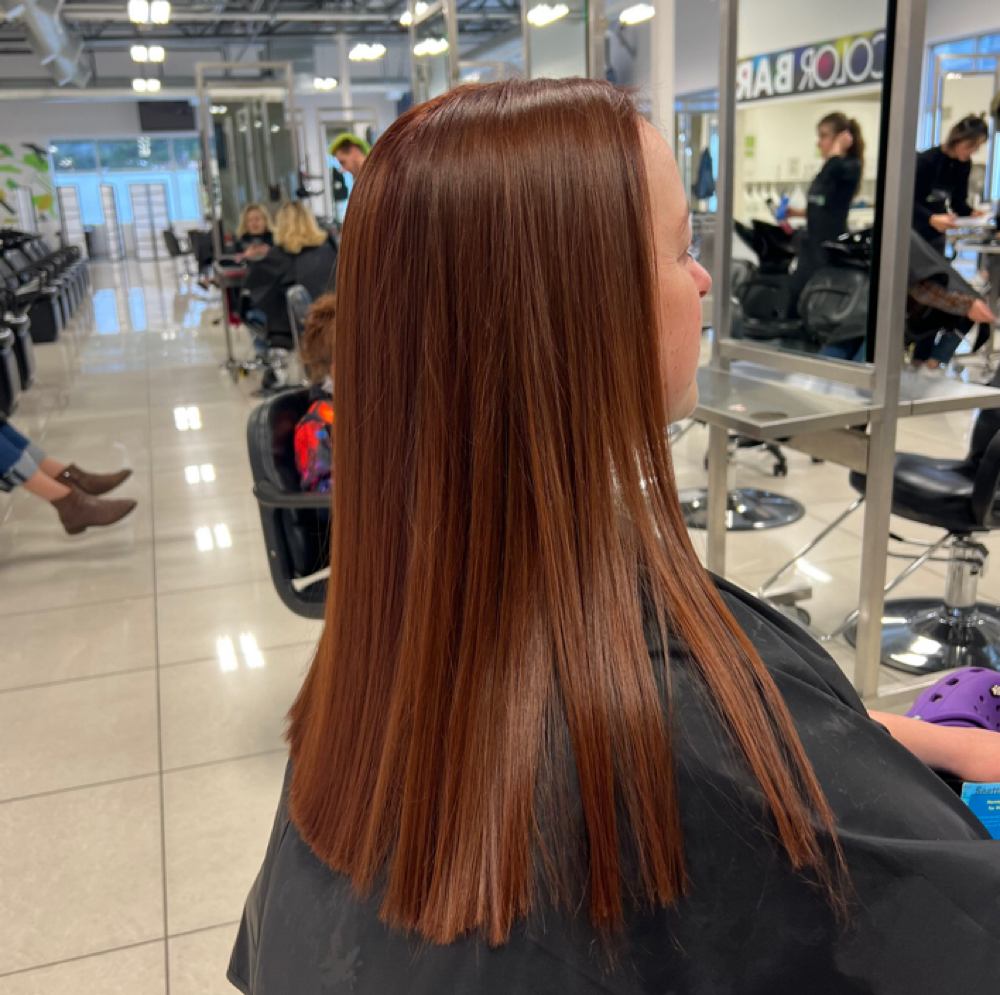 Solid Color at Lilac Dreams in Shoreline, WA