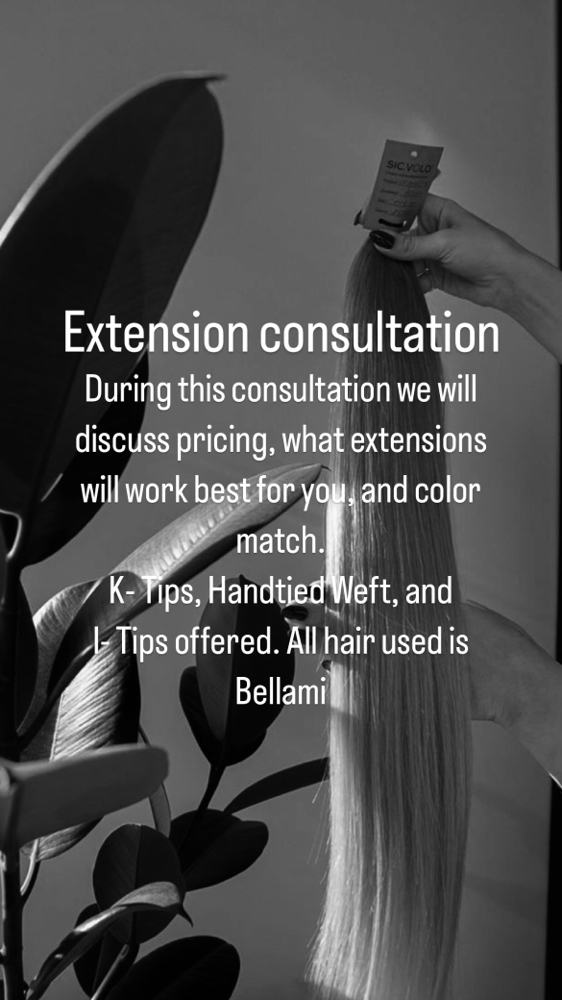 Extension Consulation