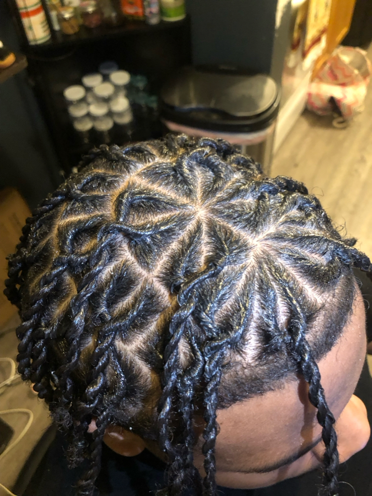 Starter Locs With Style