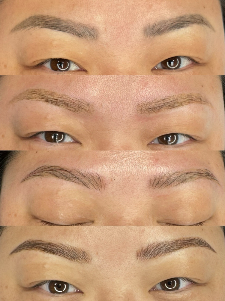 3 Year Touch Up ( Mircoblading)