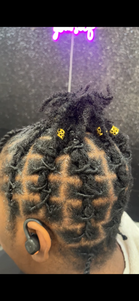 Traditional Starter Locs