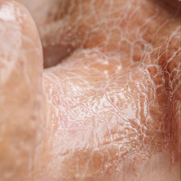 Firming Peptide Facial | Circadia