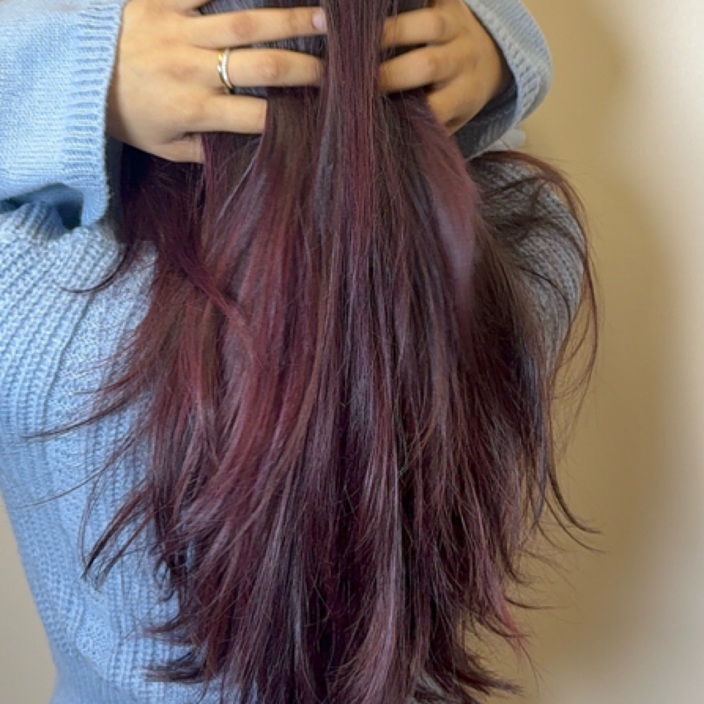 Vivid at Shammi’s Hair Studio in Troy, MI