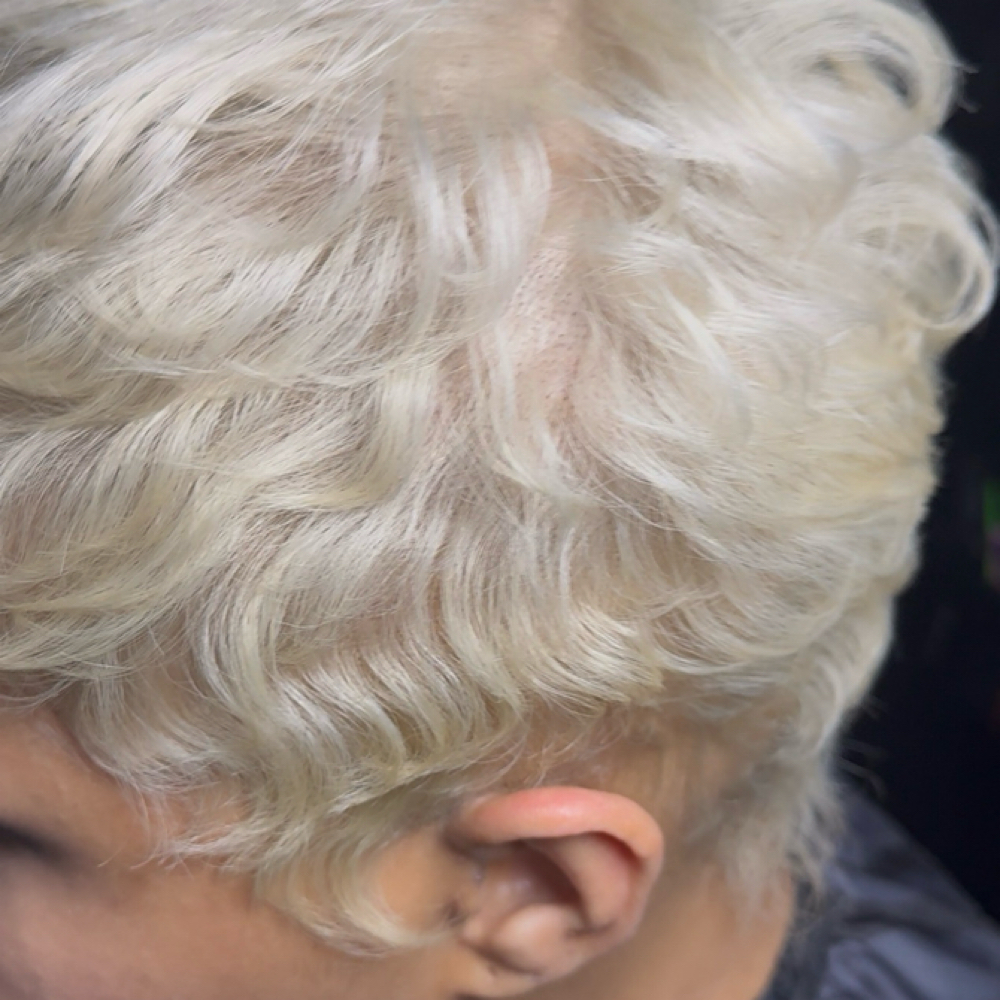 Glazing/Toning at theLoft Social Hair Studio LLC. in Alexandria, VA