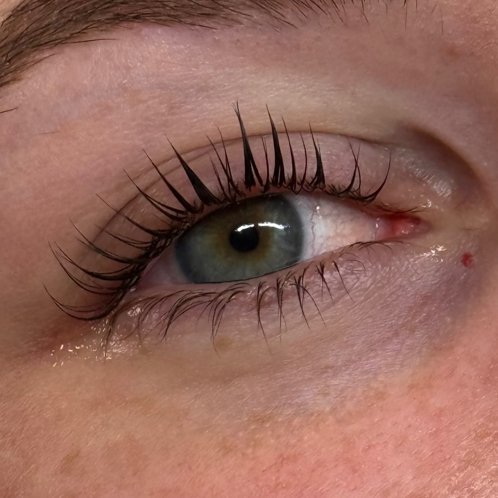 Korean Lash Lift at Artistry by Lucy in Fairfax, VA
