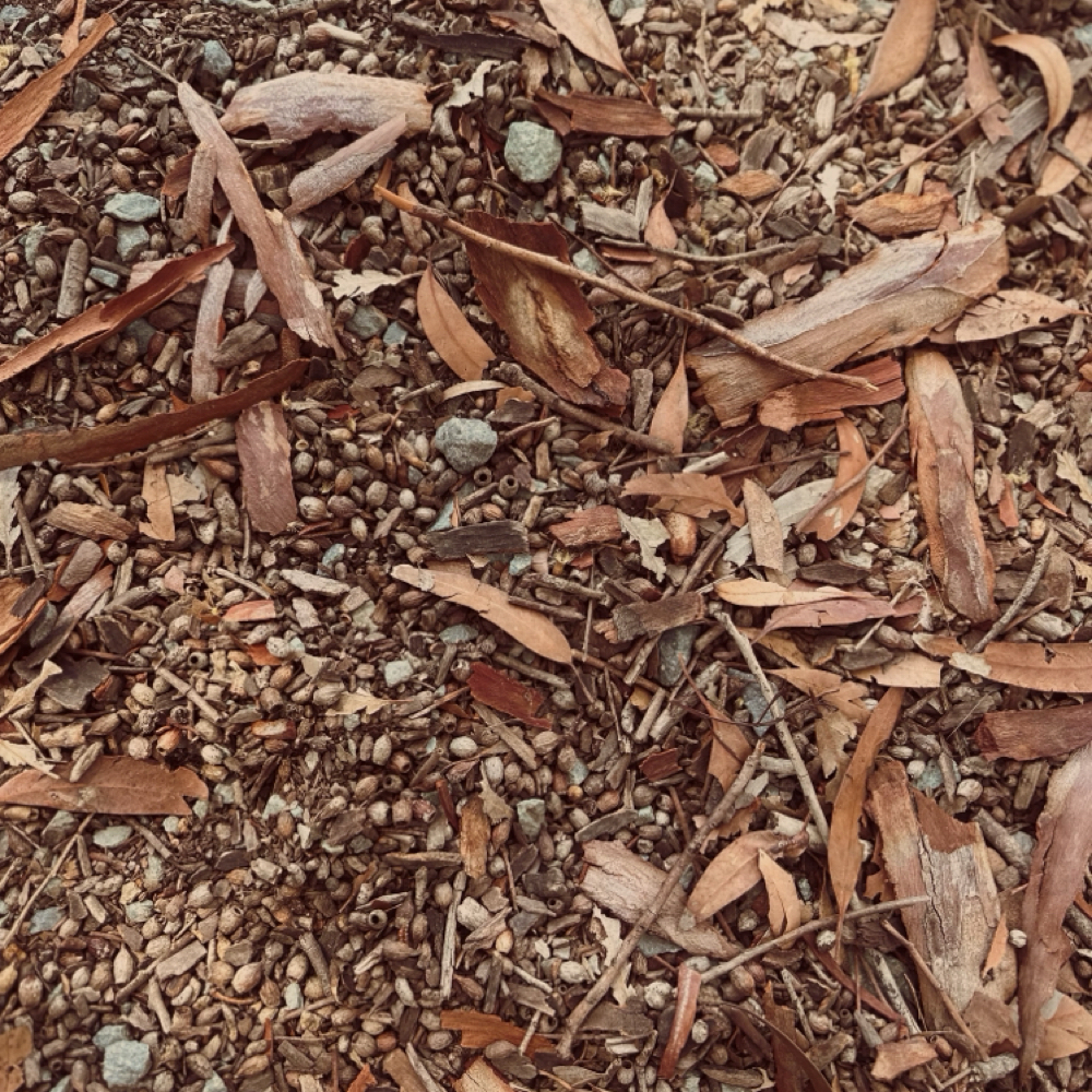 FREE Discovery Call (Virtual 30 Min