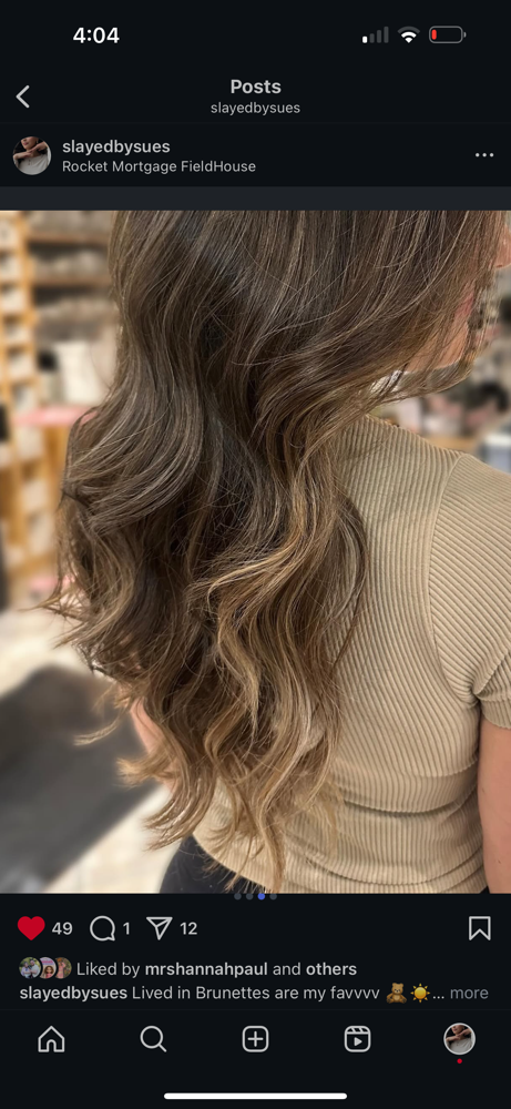Balayage (including Tone & Cut)