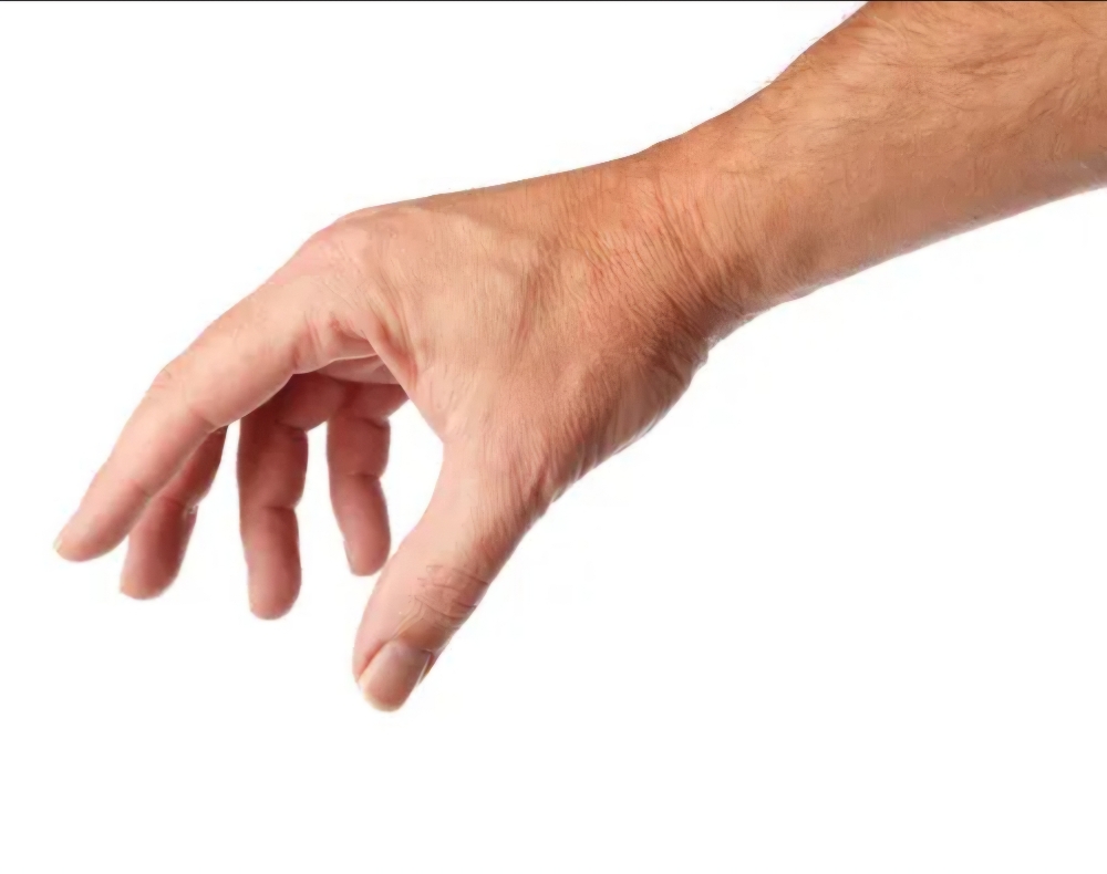Men's Hand & Fingers