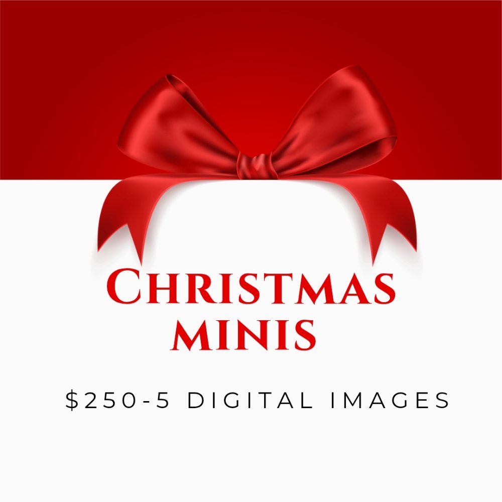 Christmas Minis