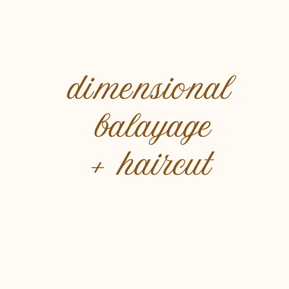 dimensional balayage + haircut at Haley Gabriel Hair in Round Rock, TX