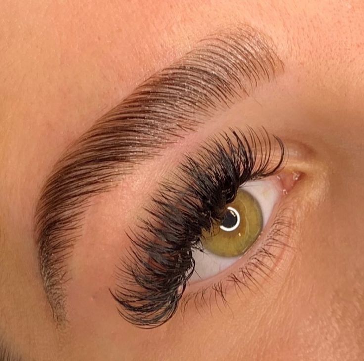 Brow Wax + Tint