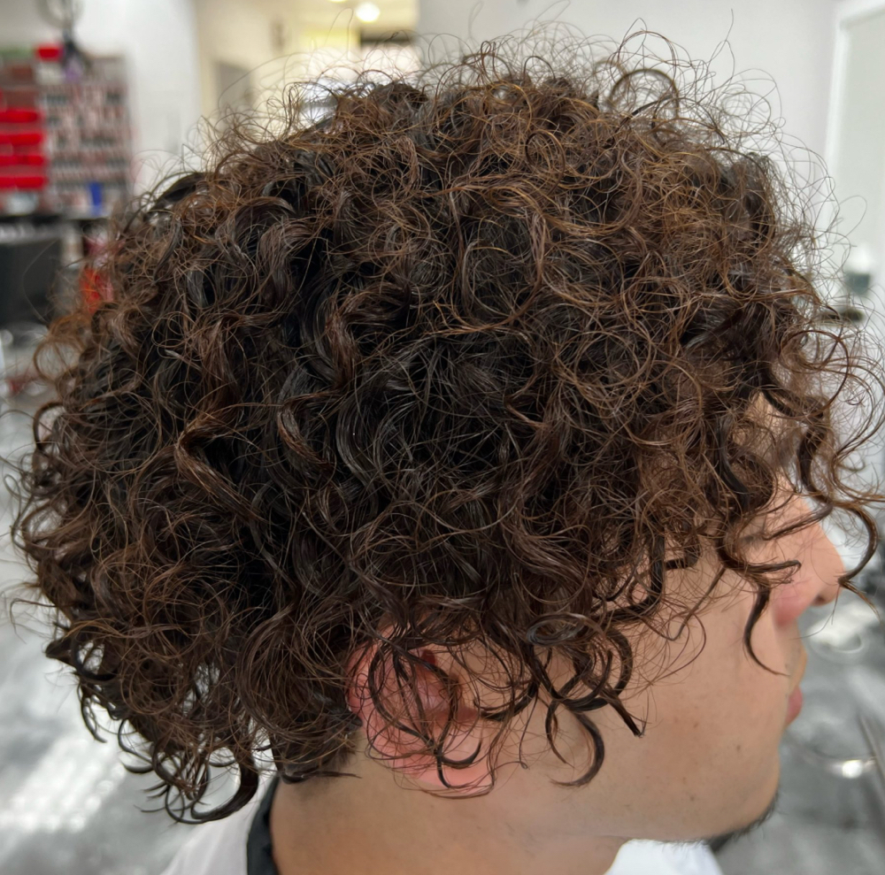 Mens Perm Short Hair