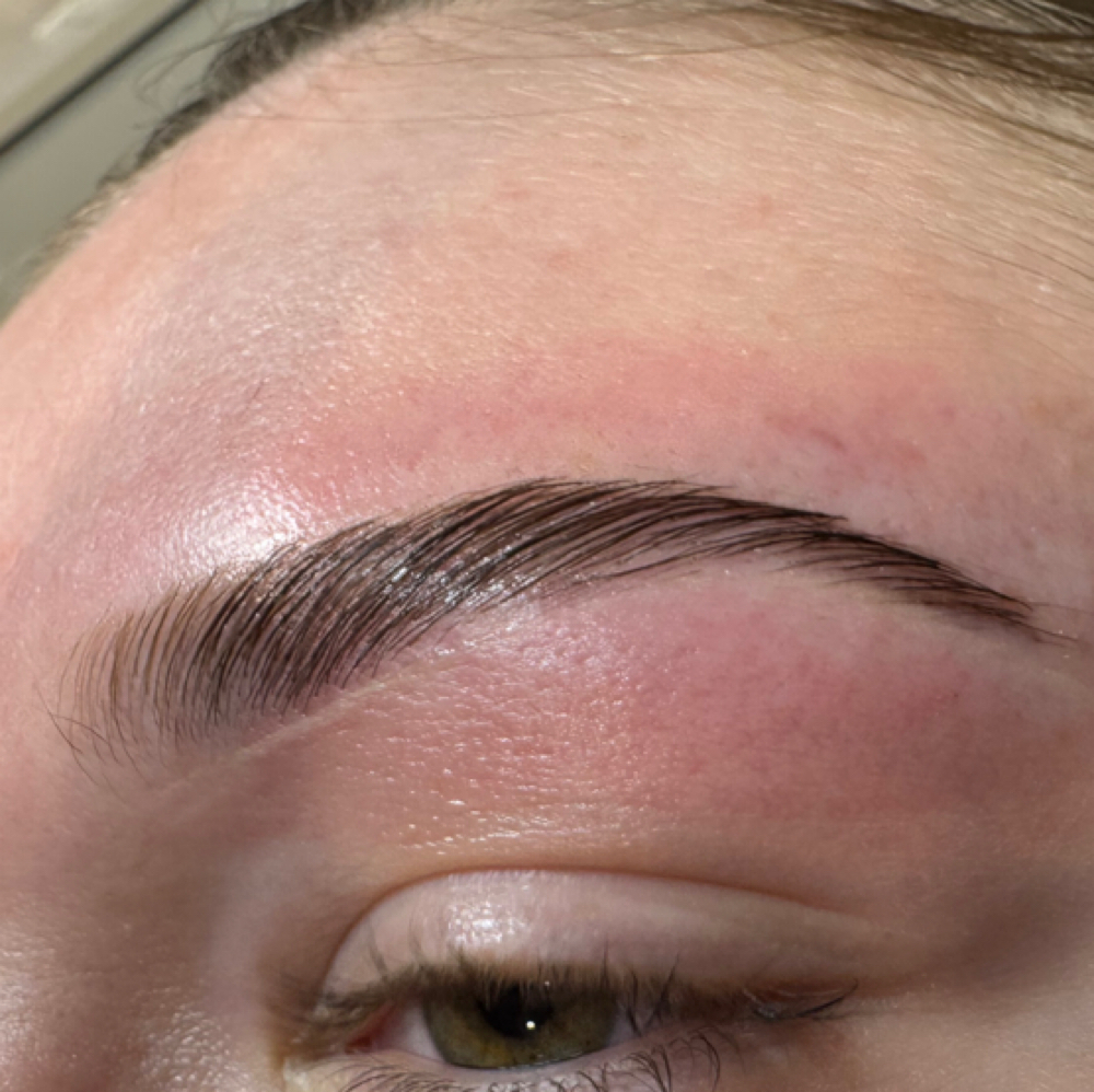 Eyebrow Tint / Lamination / Wax at Revitalized By Vita in Webster, NY
