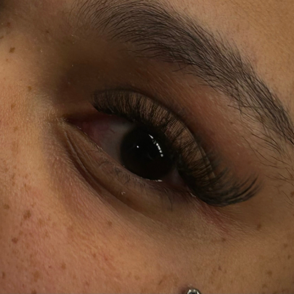 Hyrbid Lash Set at Beauty by Lex in Imperial, MO