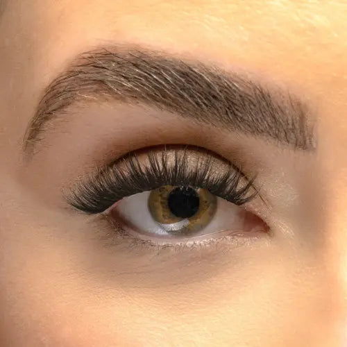 Volume Lash Extensions