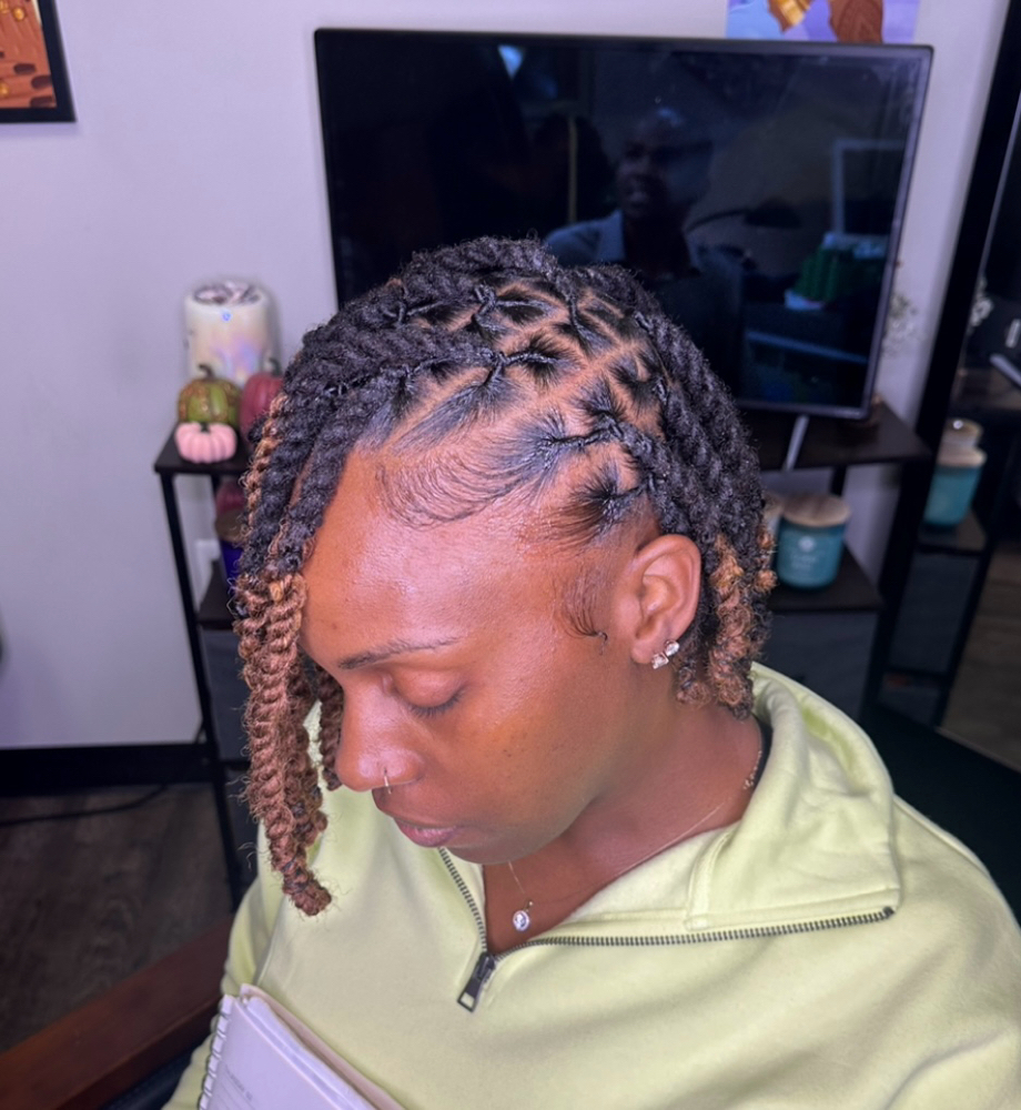 ✨PARTIALLY✨ Extended Twists (Short)