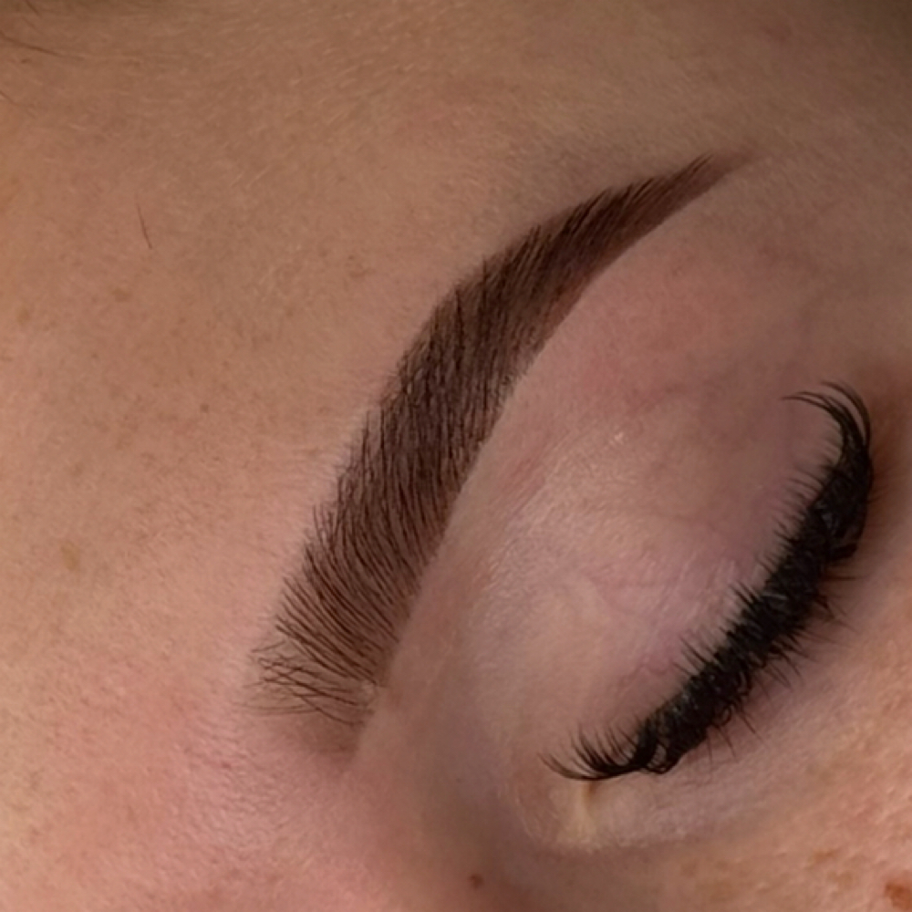 Brow Shape + Hybrid Tint at Hard Feelings Brow Studio in Indianapolis, IN