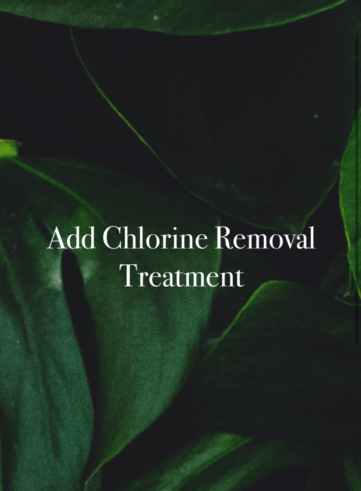 Add Chlorine Removal Treatment💦 at Anestie Beauty Lounge in Franklin Square, NY