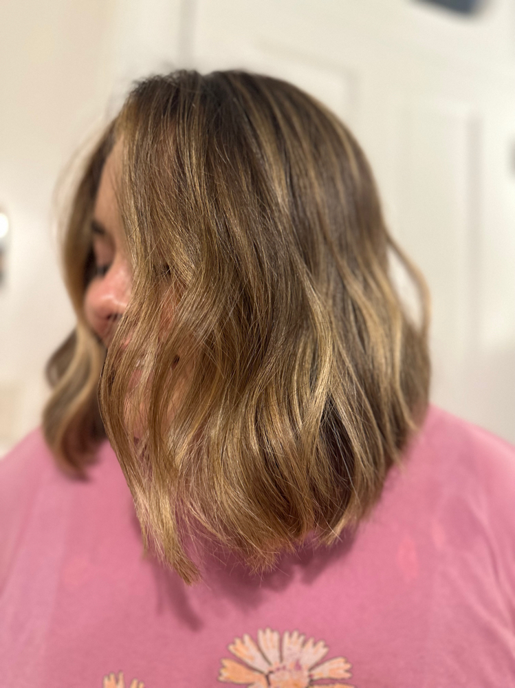 Partial Lightening W/ Blow Dry