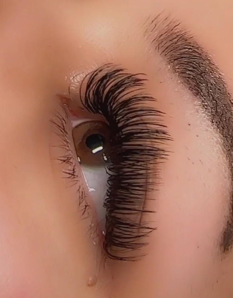 Classic Plus/Wet Lash