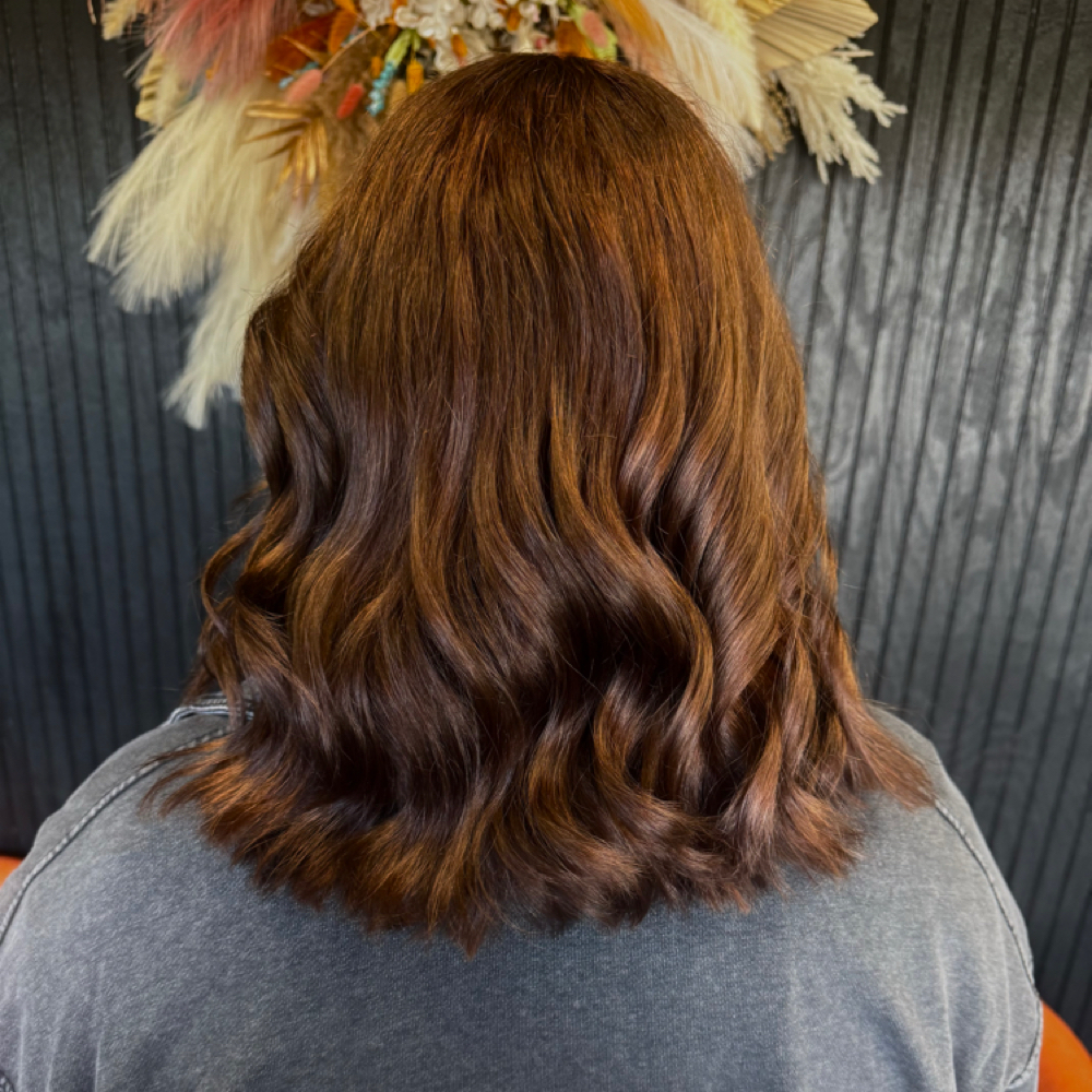 All Over Color at Precision Beauty Salon in Kingsport, TN