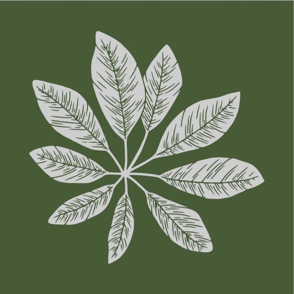 Back and Body Facial at The Skin You're In in Overland Park, KS