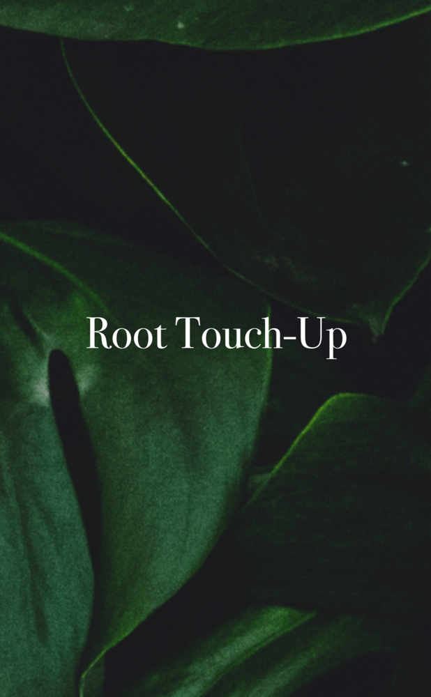 Root Touch-Up at Anestie Beauty Lounge in Franklin Square, NY